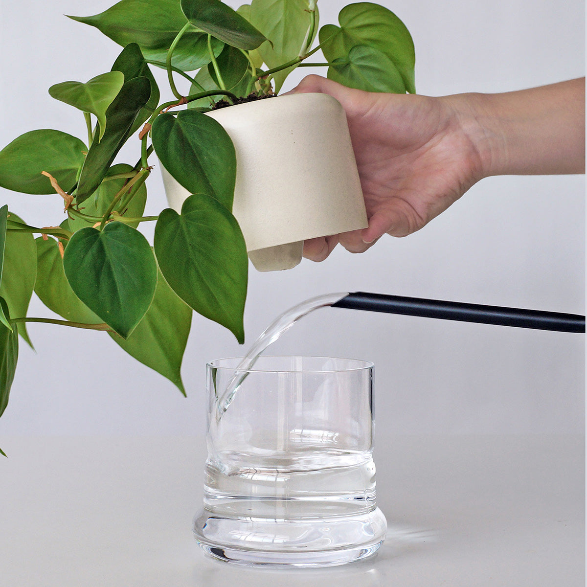plant pots with water reservoir Geo H2O ceramic planter with water reservoir – Pikaplant.com