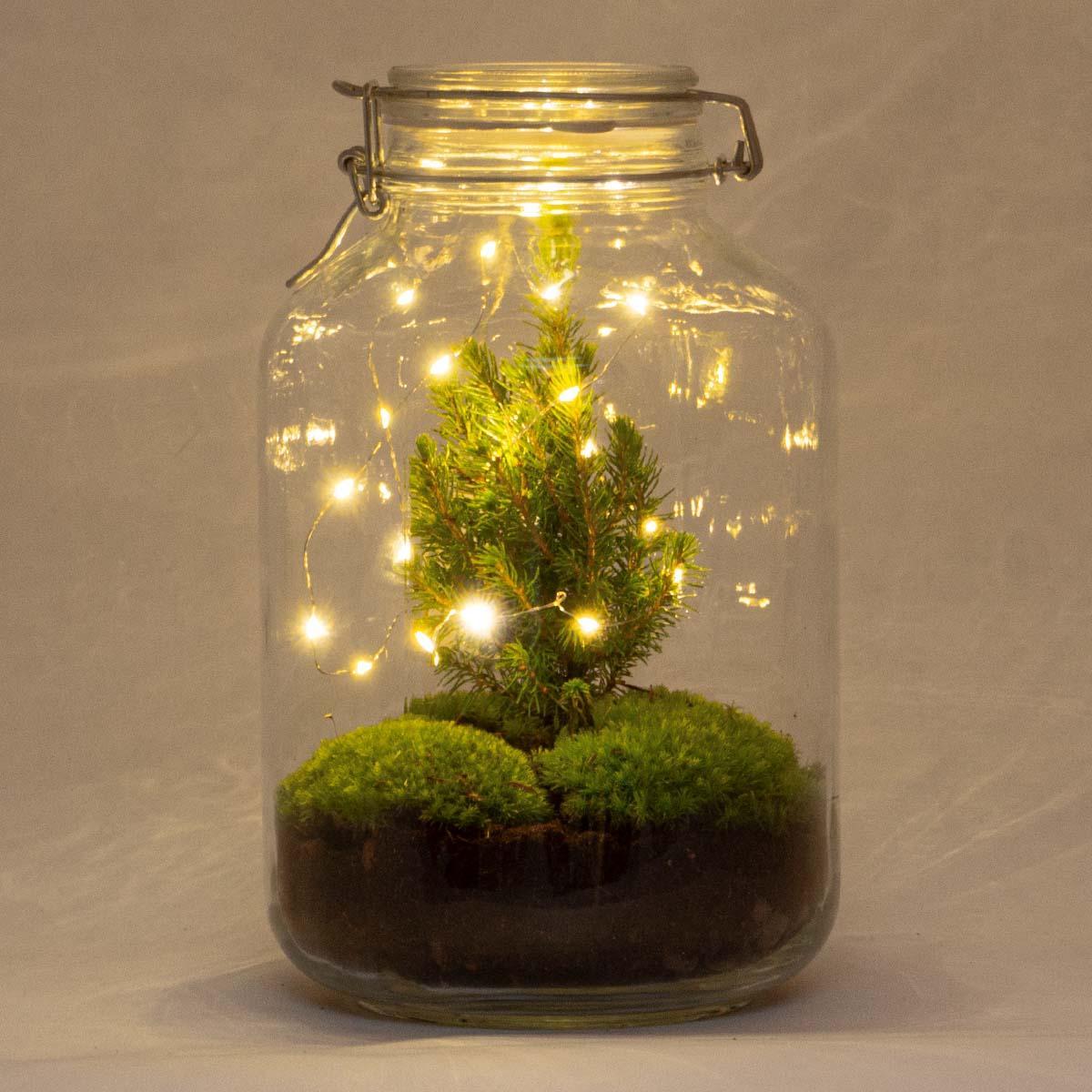 DIY terrarium - Jar Christmas - ↑ 28 cm
