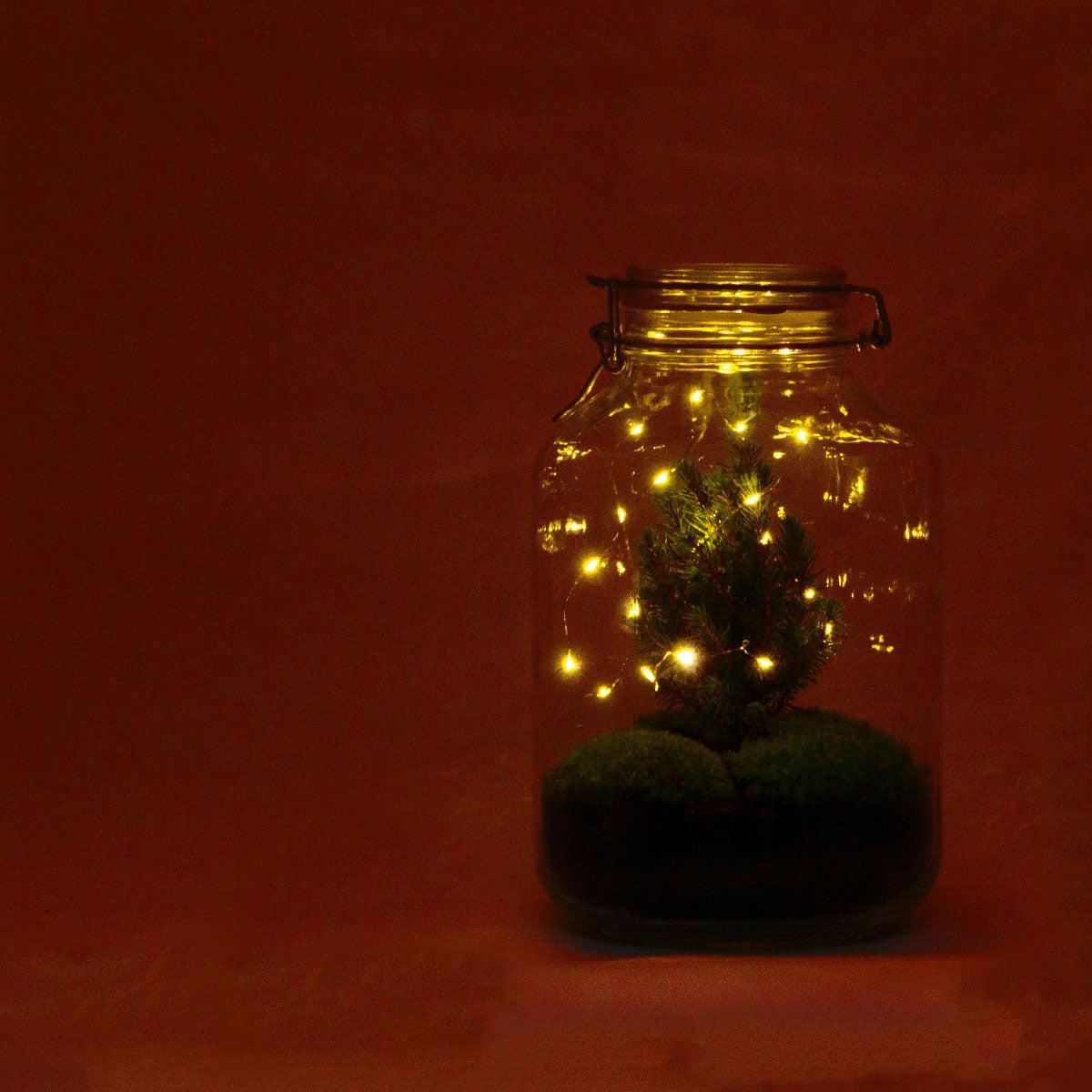 DIY terrarium - Jar Christmas - ↑ 28 cm